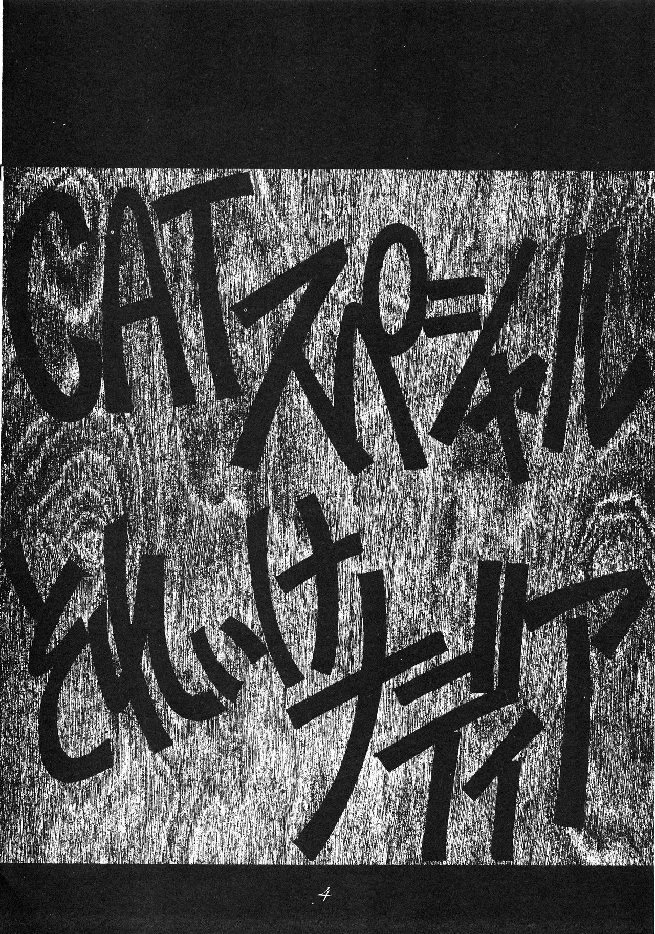 PUSSY CAT Special Soreike Nadia page 5 full