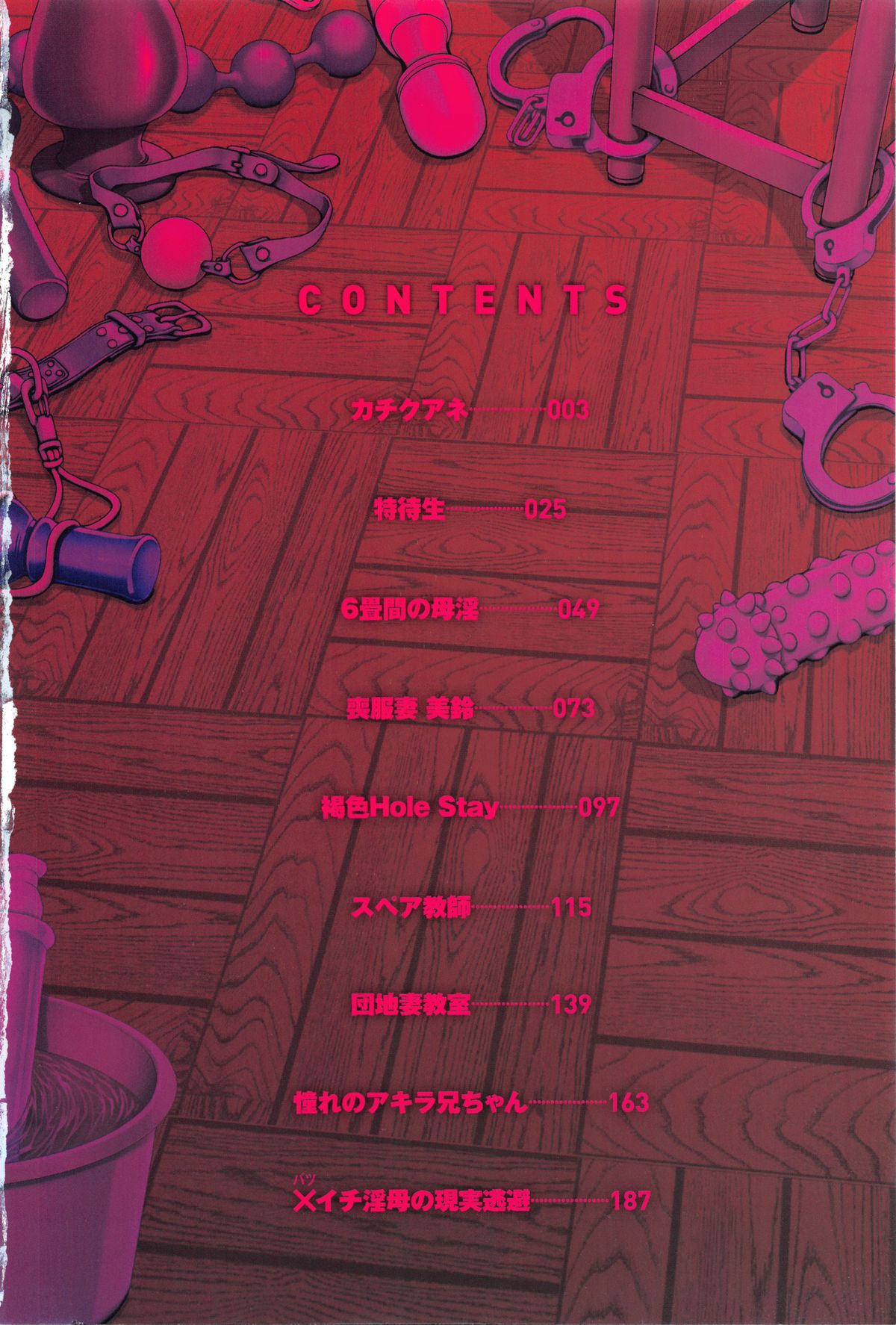 Kachiku Ane page 5 full