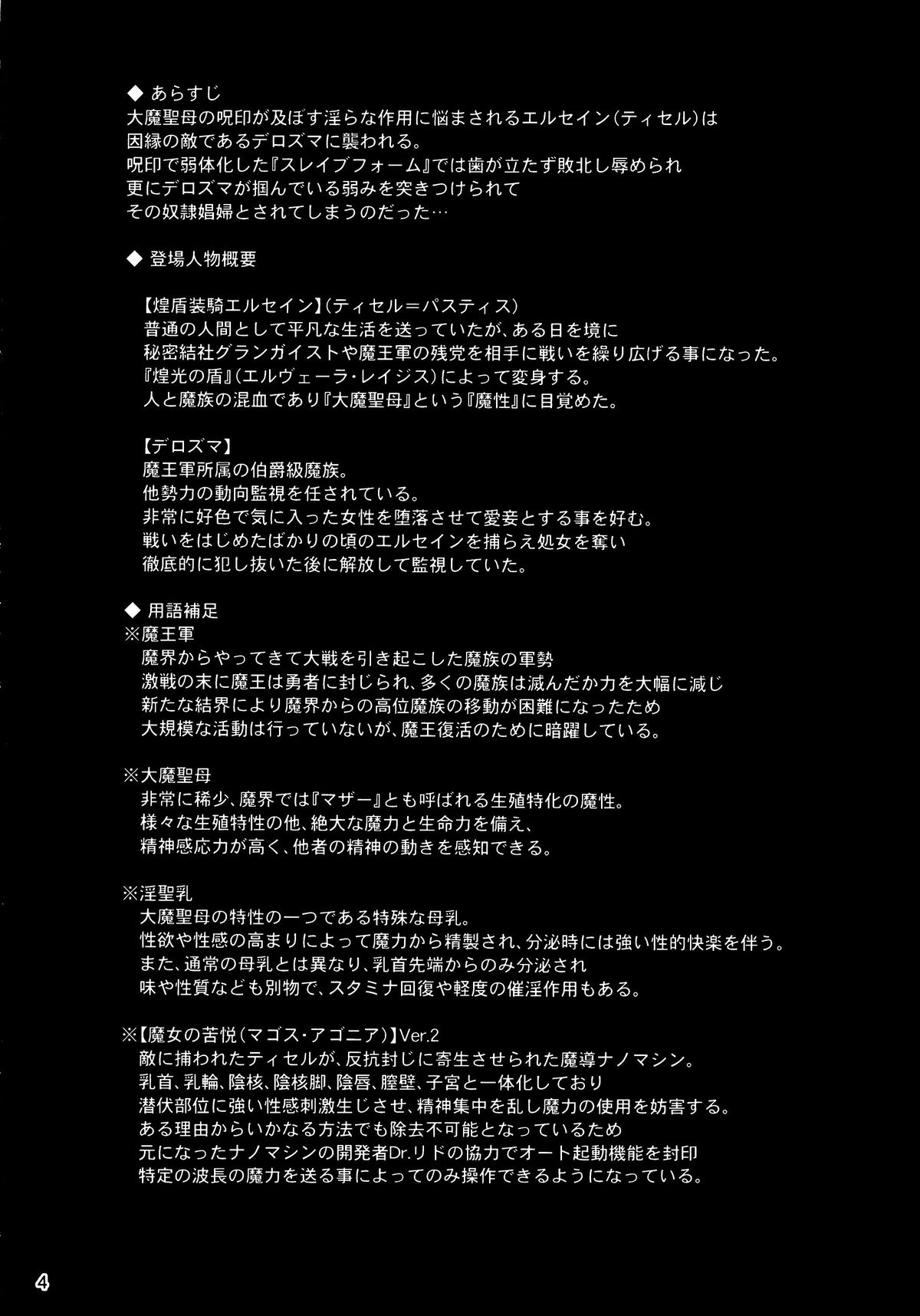 Shield Knight Elsain Vol. 19 Injuu no Jukokuin 3 page 3 full