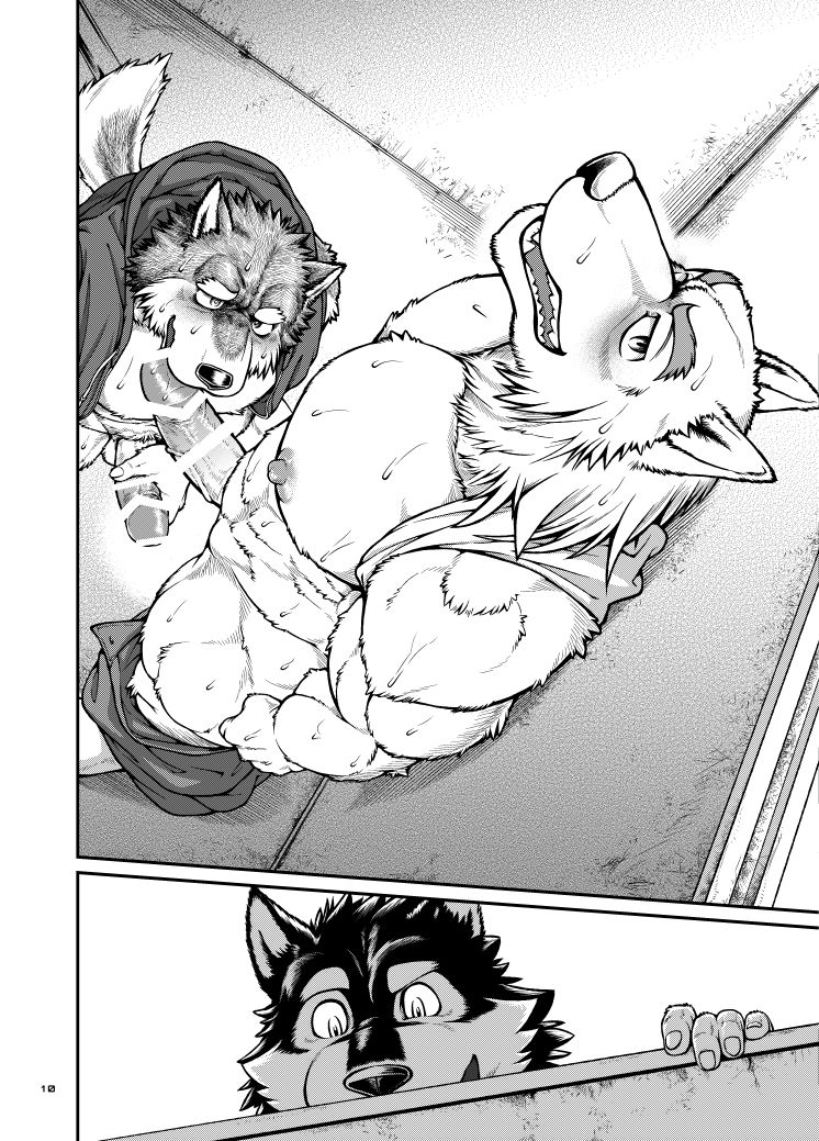 9ANIMALS ver.4.0 ROUGH WOLF page 9 full