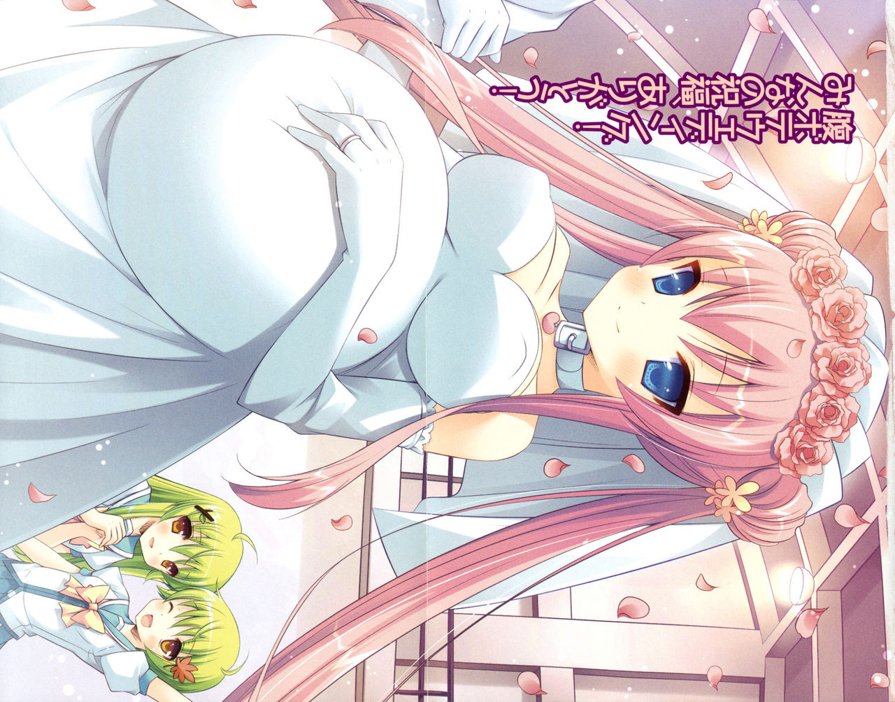 Onii-chan no Koto Suki Suki Daisuki Suki Suki page 4 full