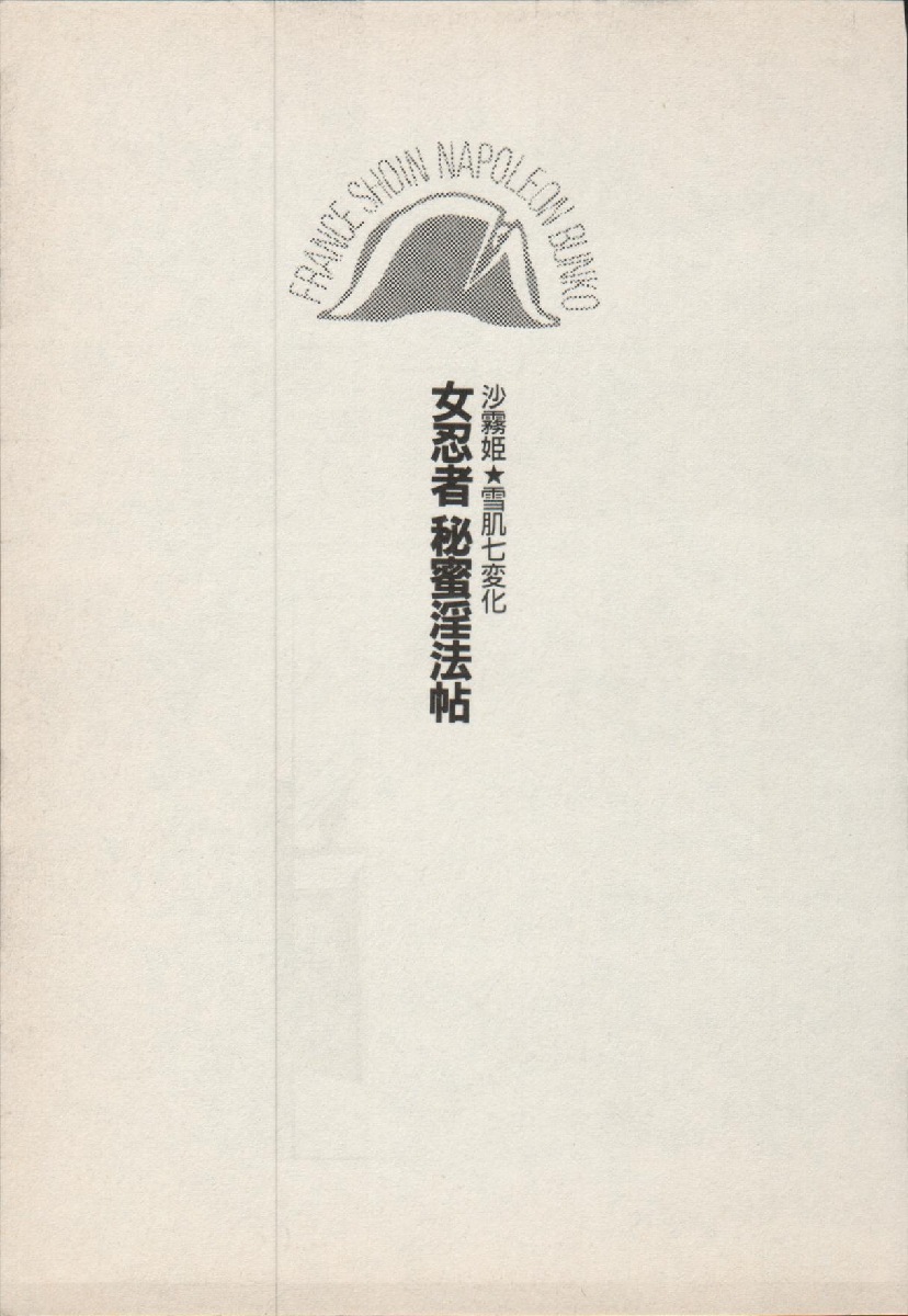 Onna Ninja Himitsu Inpouchou page 9 full