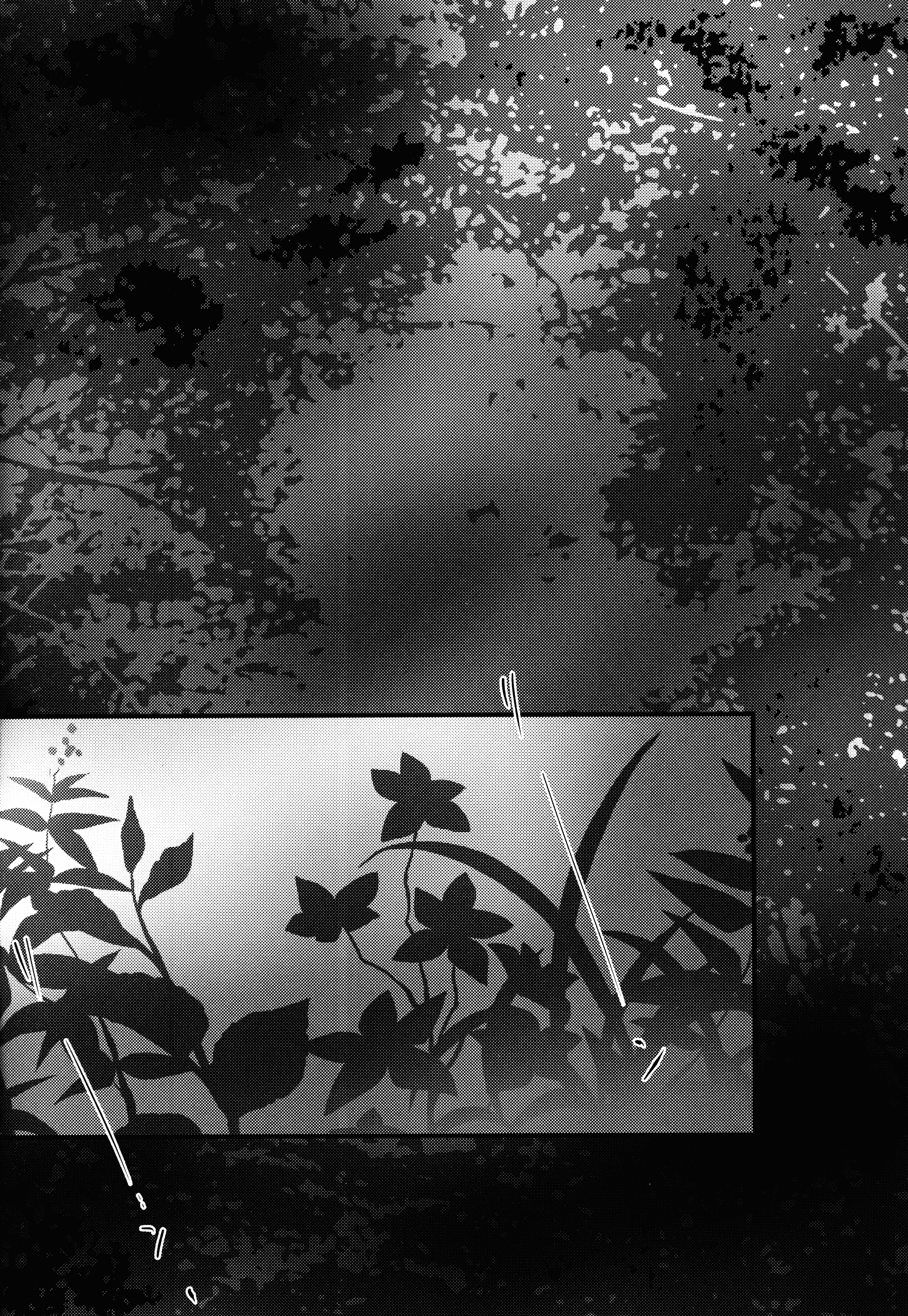 Idol Nico-nii to Yukata page 4 full