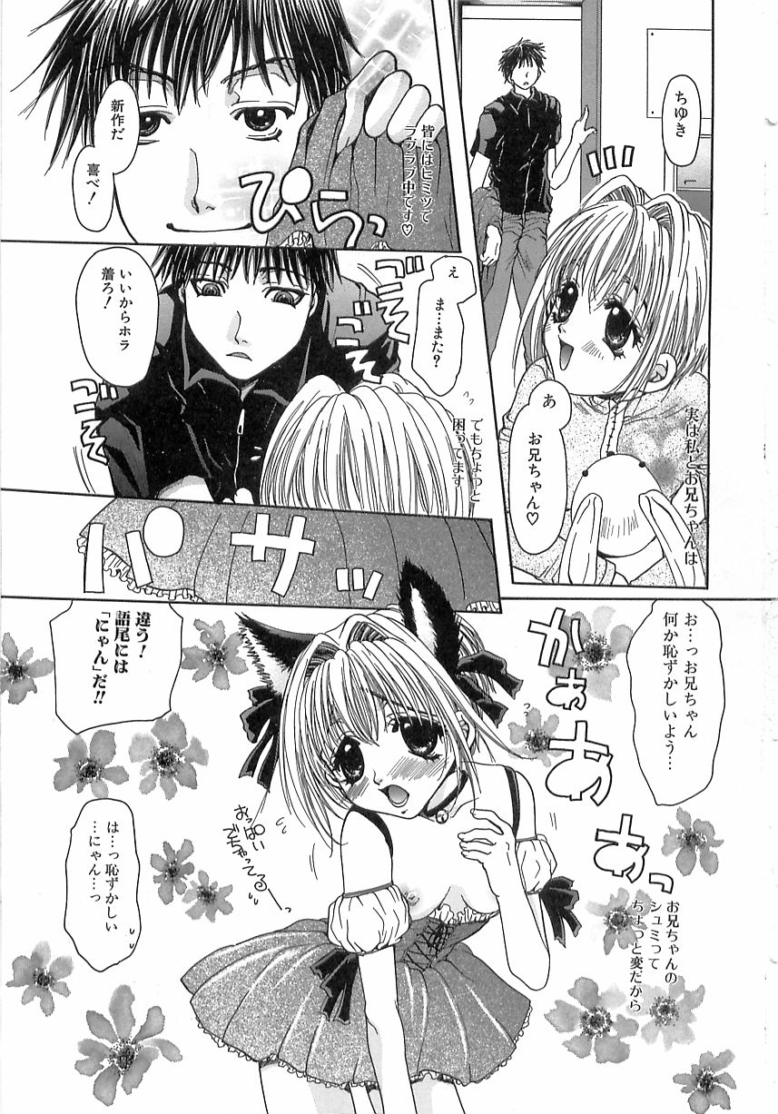 Kinkan Imouto Moe page 5 full