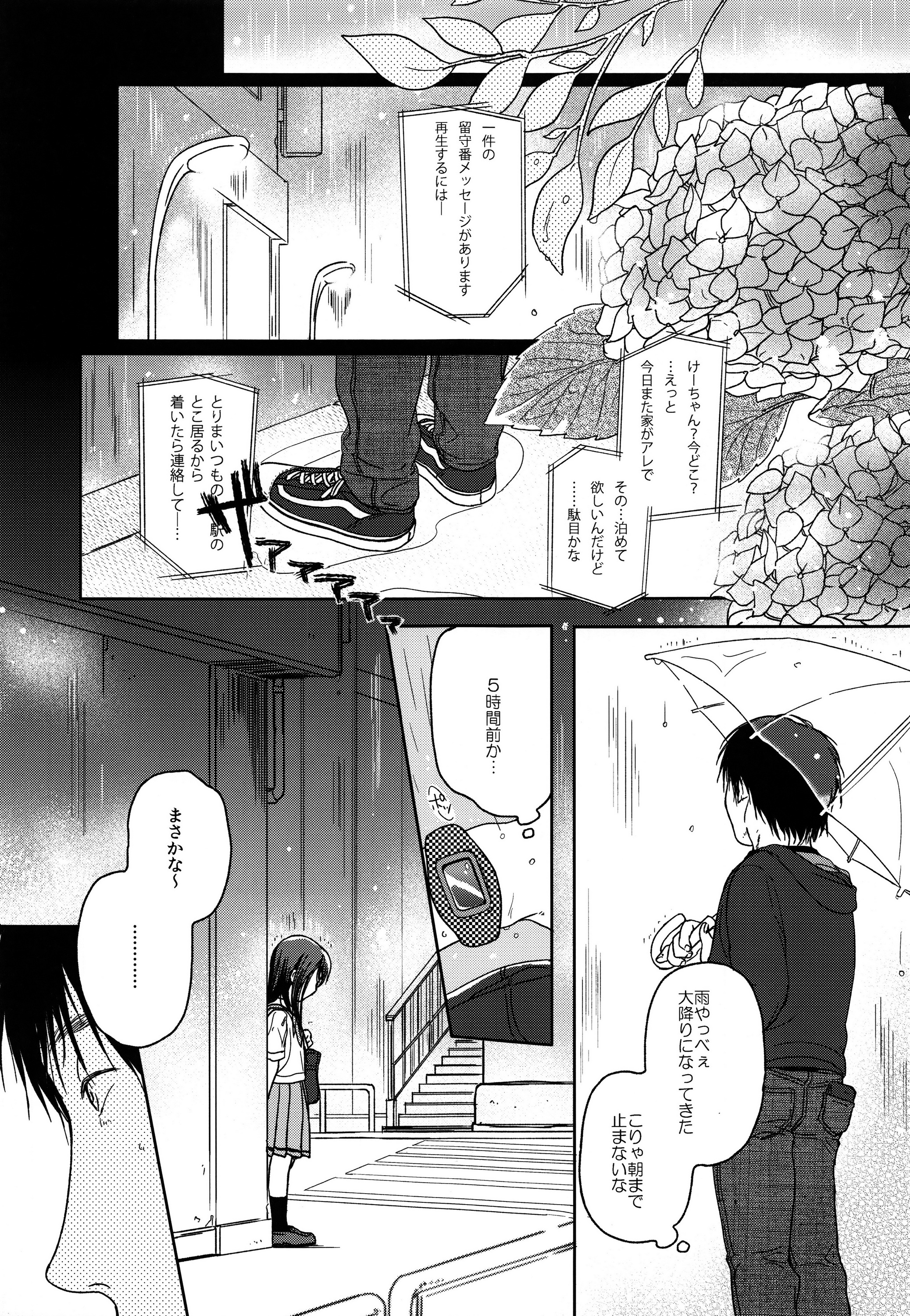 HYDRANGEA page 6 full