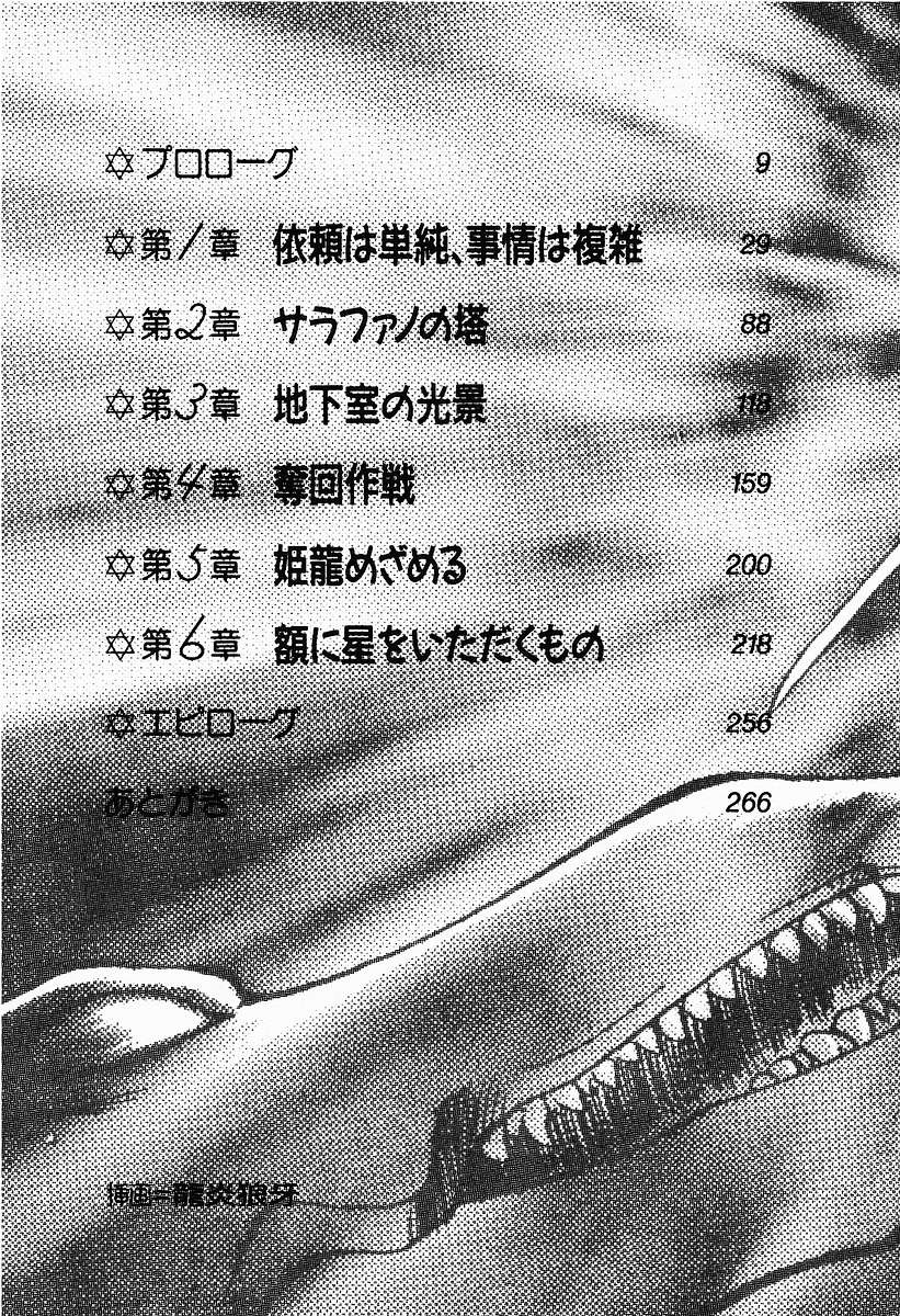 Lightning Saga - Onna Madoushi no Tou page 8 full