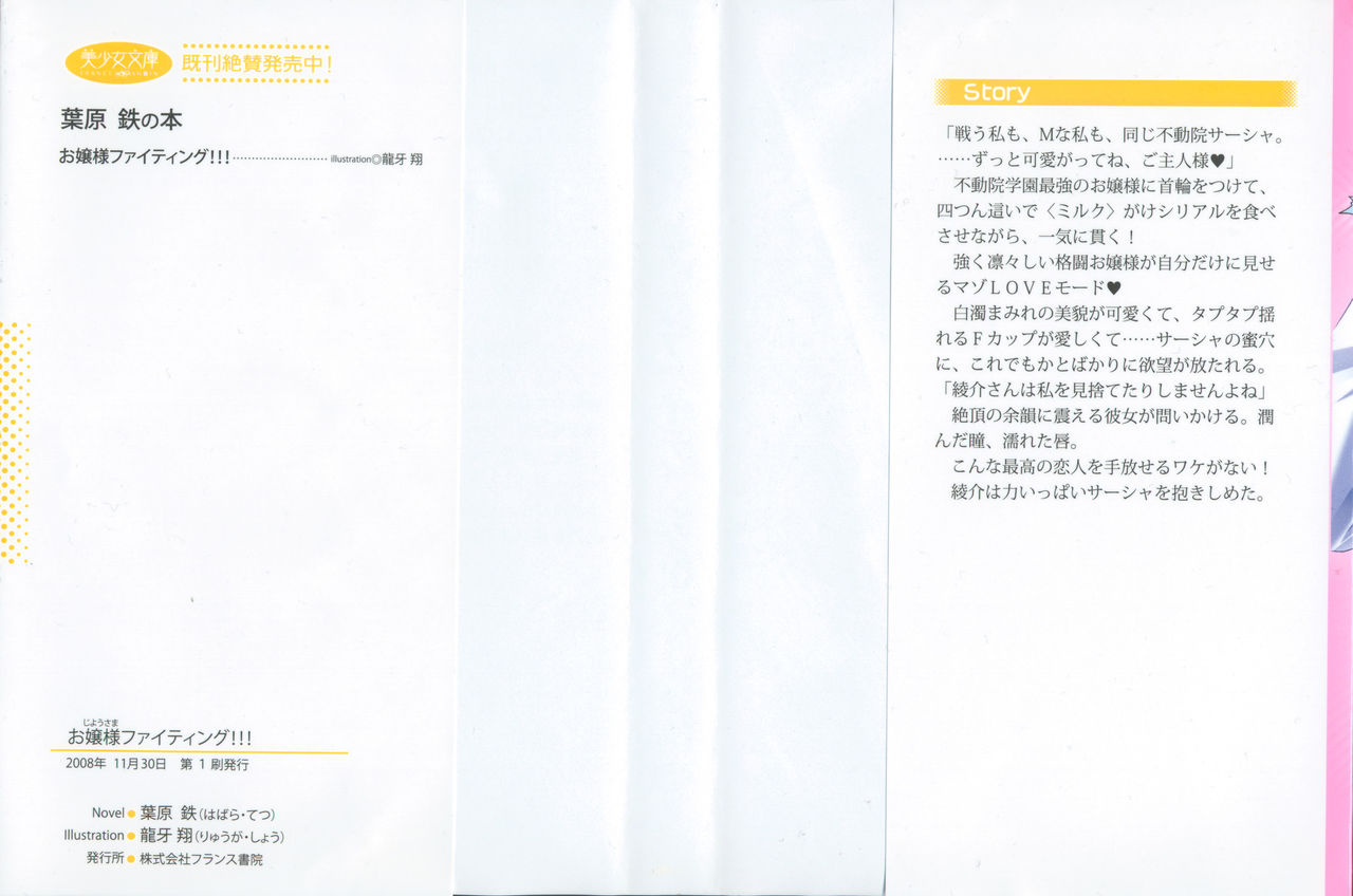 Ojou-sama Fighting!!! page 3 full