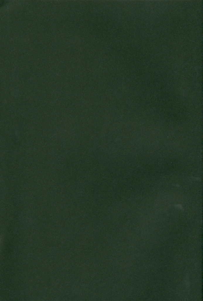 Honey on the Pancake page 2 full