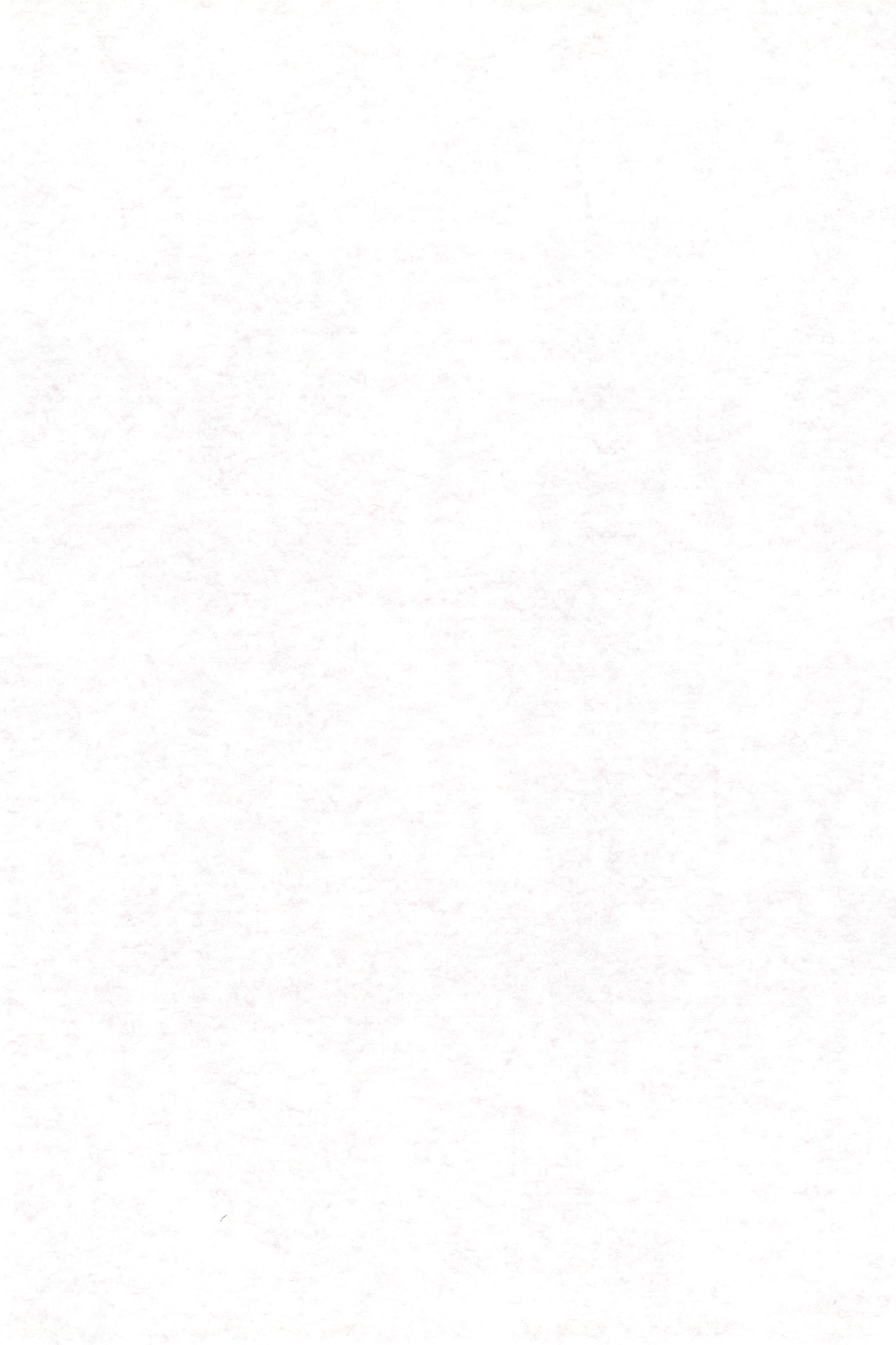 BUCHIKOWASHI page 3 full