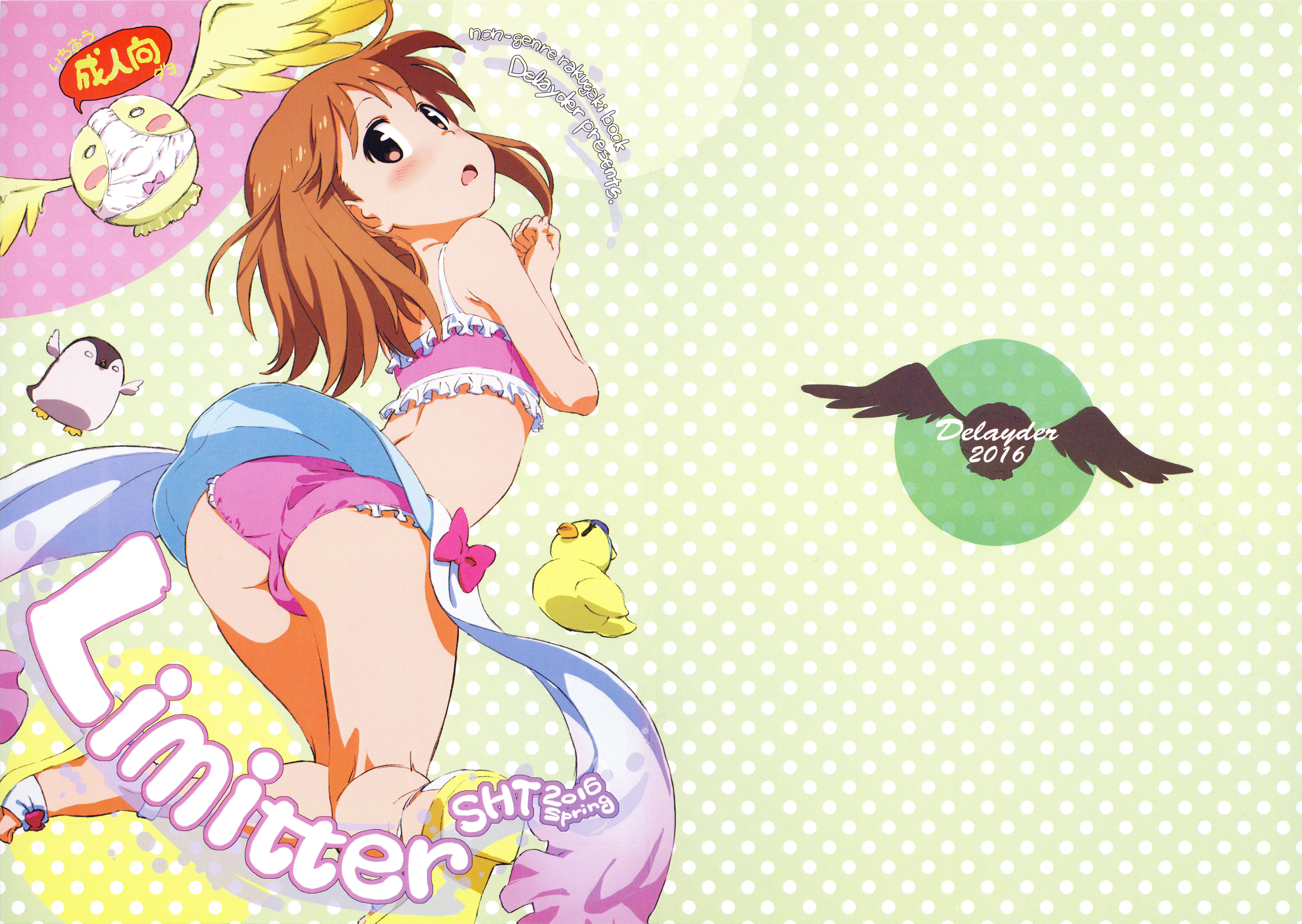 Limitter 2016 SHT spring page 1 full