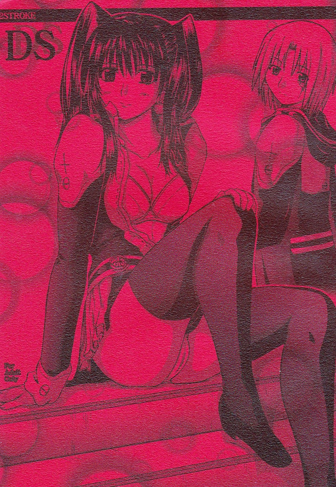 2STROKE DS page 1 full