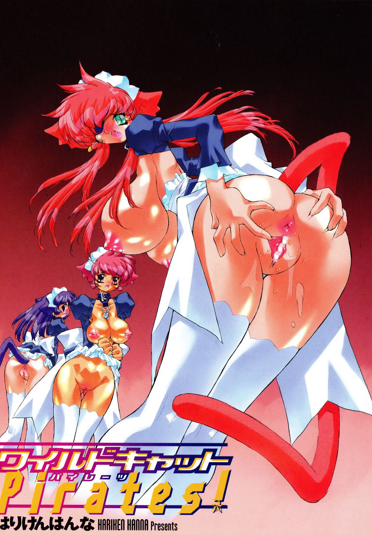 Wildcat Pirates! page 4 full