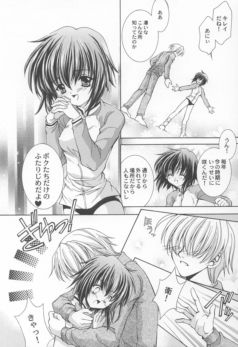 Extra Power Wash! page 5 full