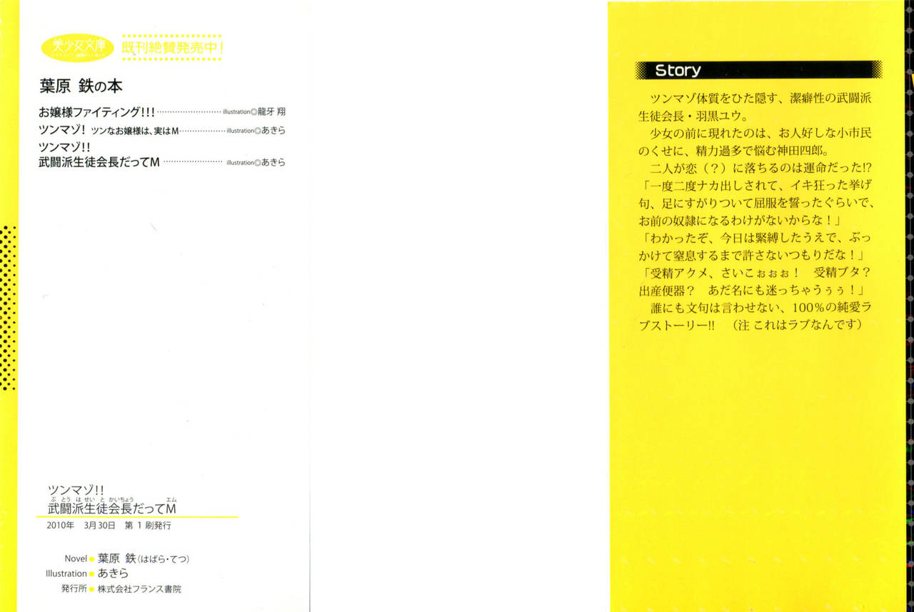 TsunMaso!! Butouha Seitokaichou datte M page 2 full