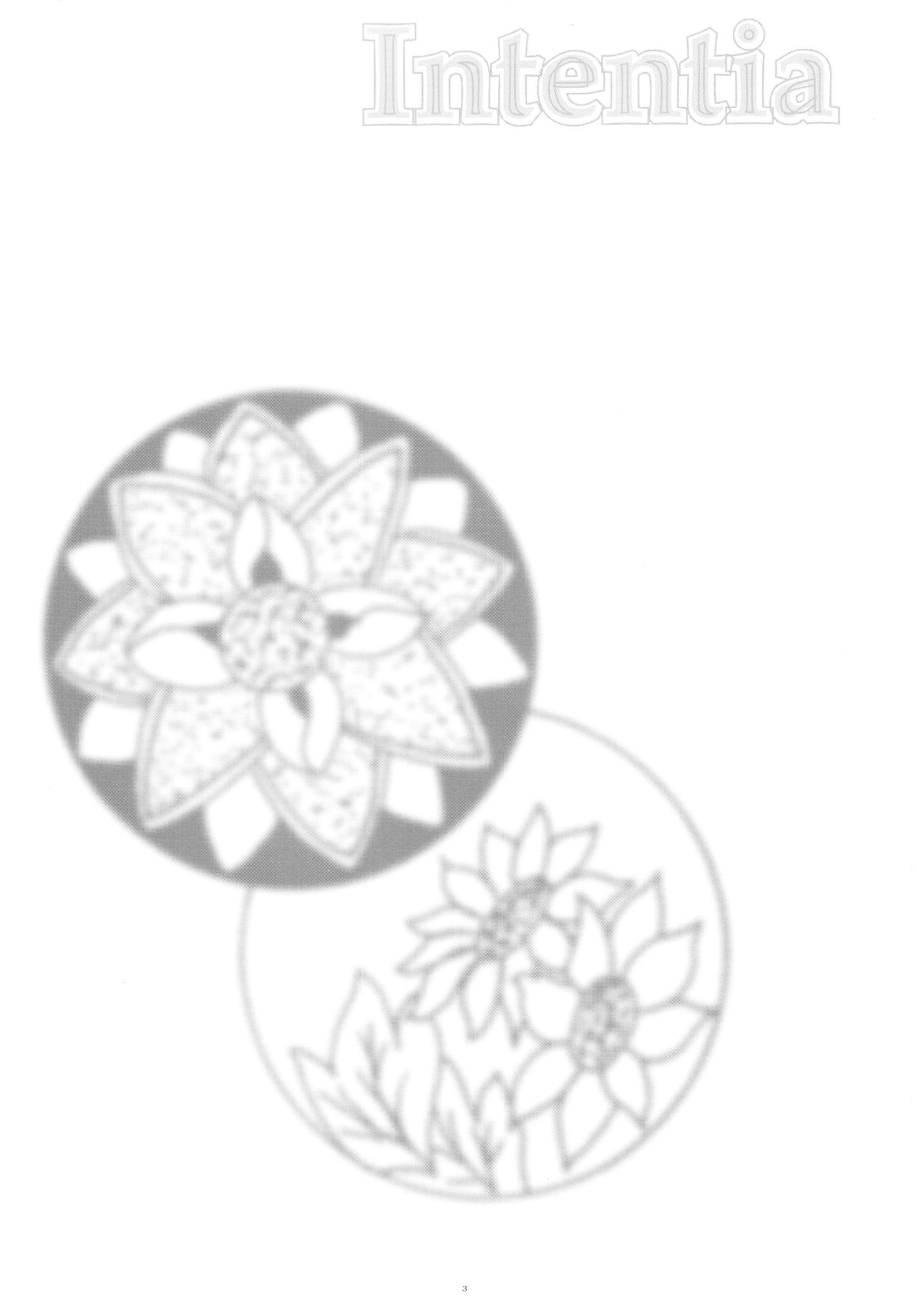 Intentia page 3 full