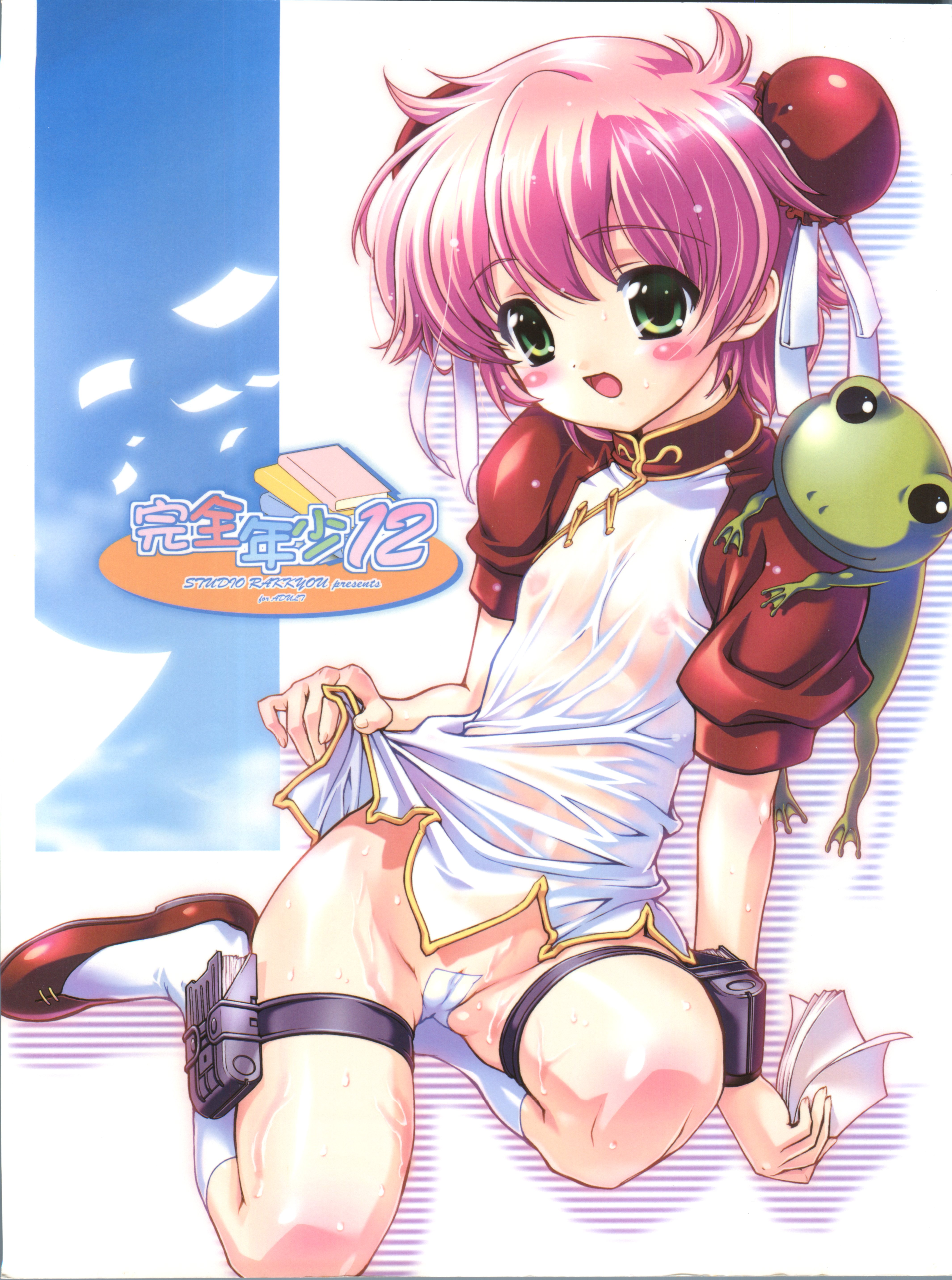 Kanzen Nenshou 12 page 1 full