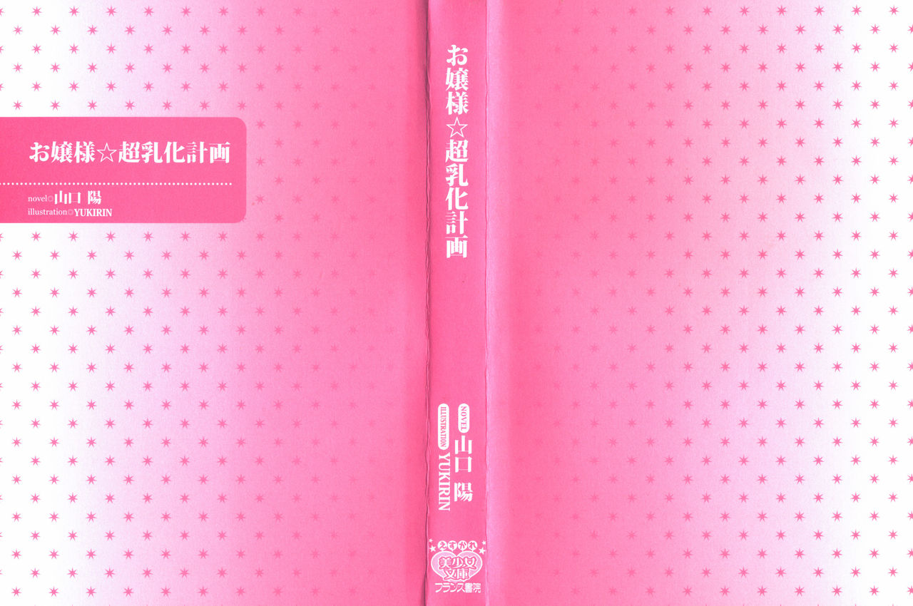 Ojou-sama Chounyuu-ka Keikaku page 3 full