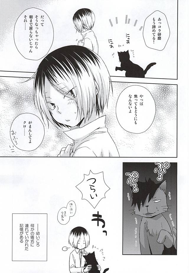 Neko Otoko Ichizoku no Koubi Report page 4 full
