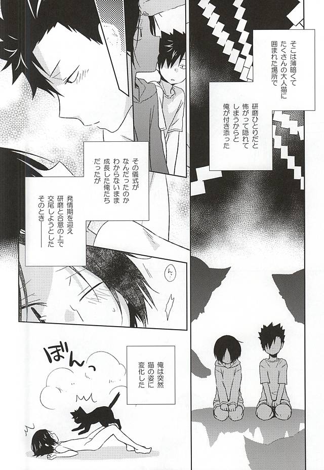 Neko Otoko Ichizoku no Koubi Report page 5 full
