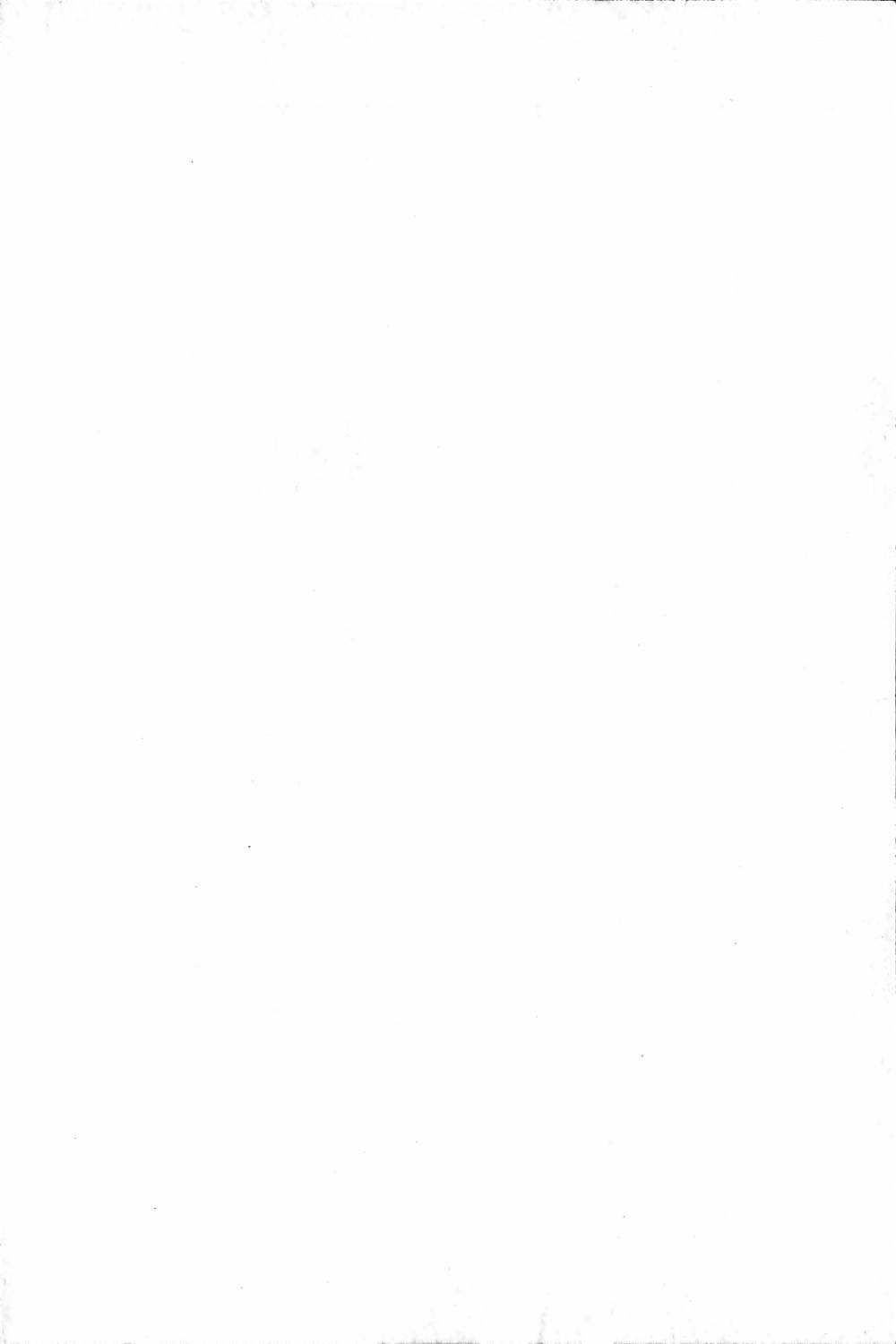 Kagai Jugyou wa Ato ni Shi.te! Mizuho-chan no Dokidoki H na Daisakusen page 4 full