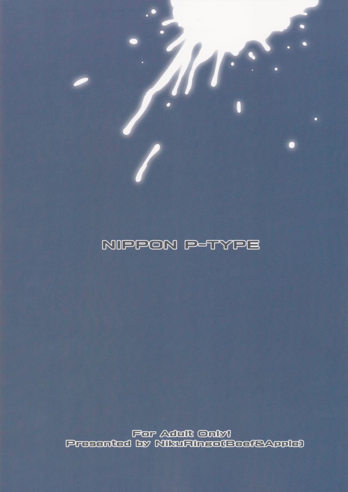 NIPPON P-TYPE page 2 full