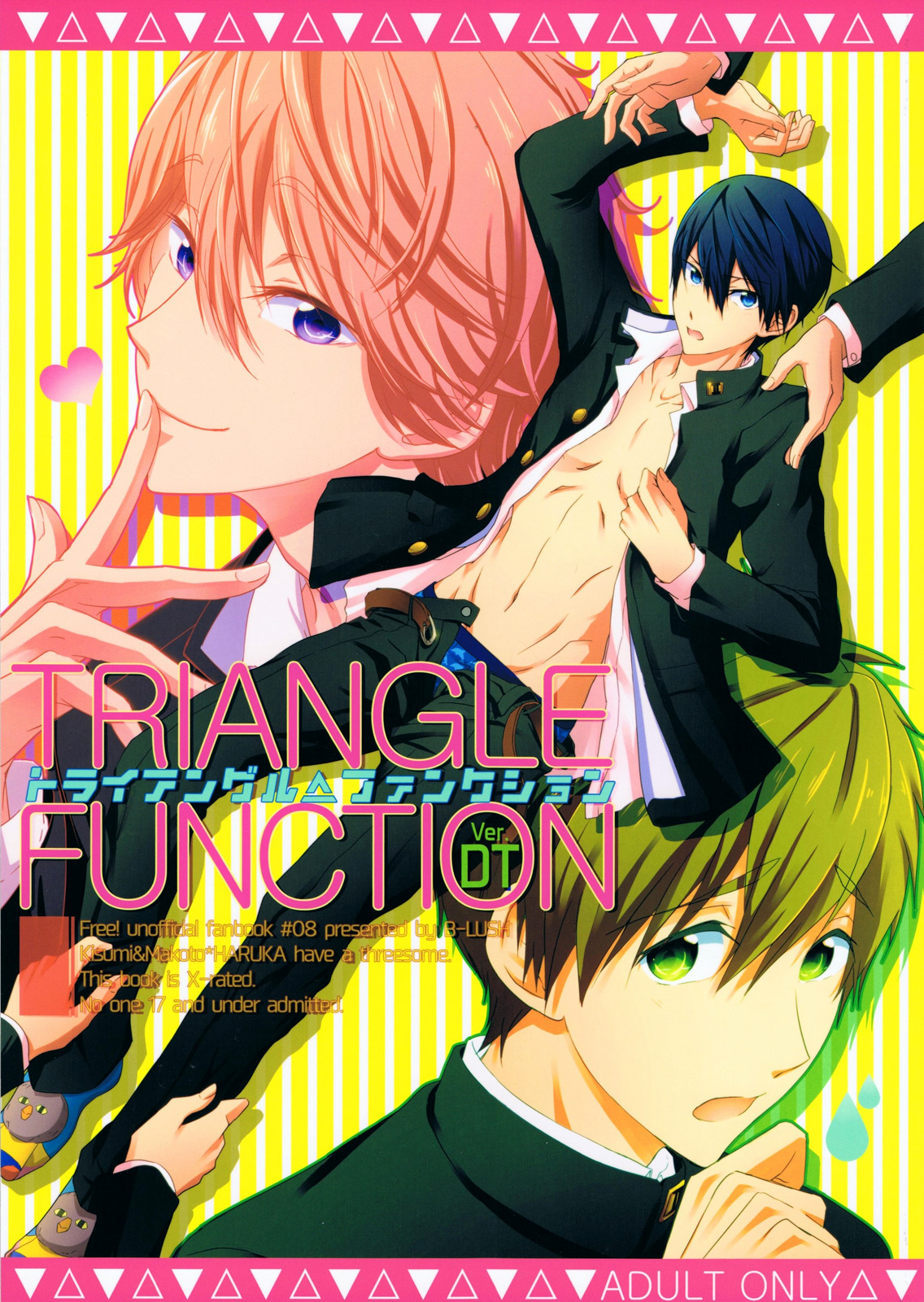 TRIANGLE FUNCTION ver. DT page 1 full