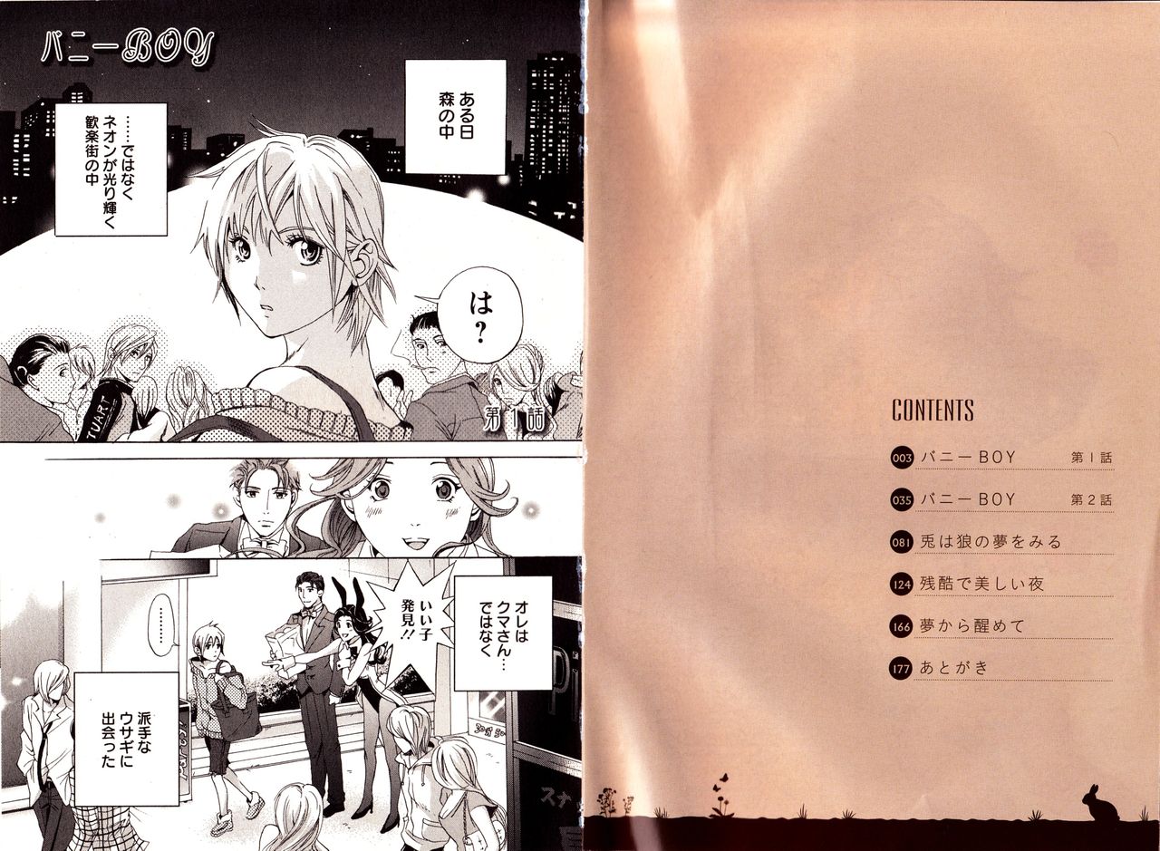 Bunny Boy page 5 full