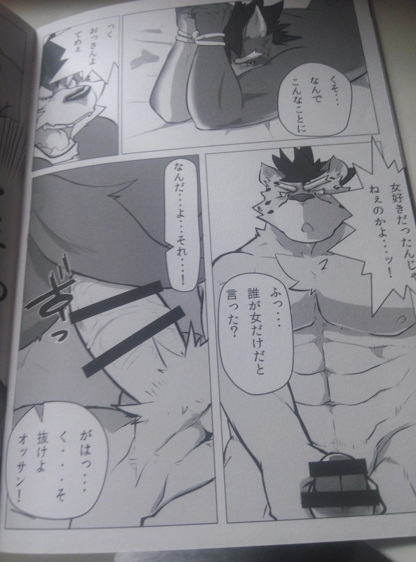 Hatashiai Musashi-den page 5 full