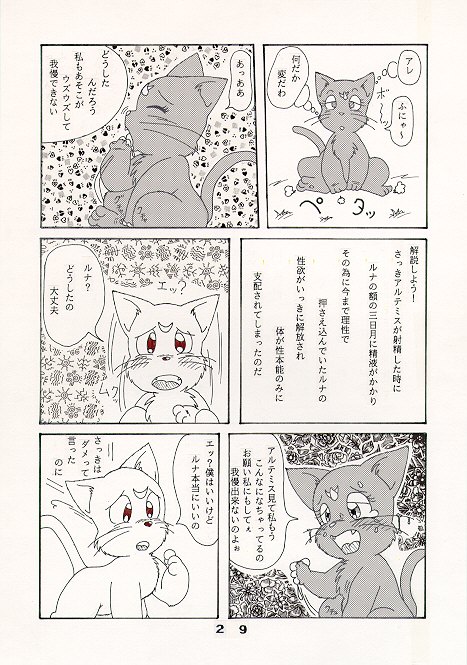 だって猫なんだモン！ page 5 full