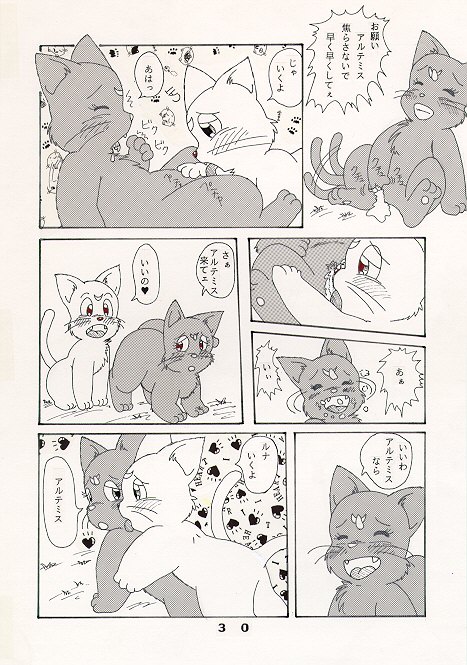 だって猫なんだモン！ page 6 full