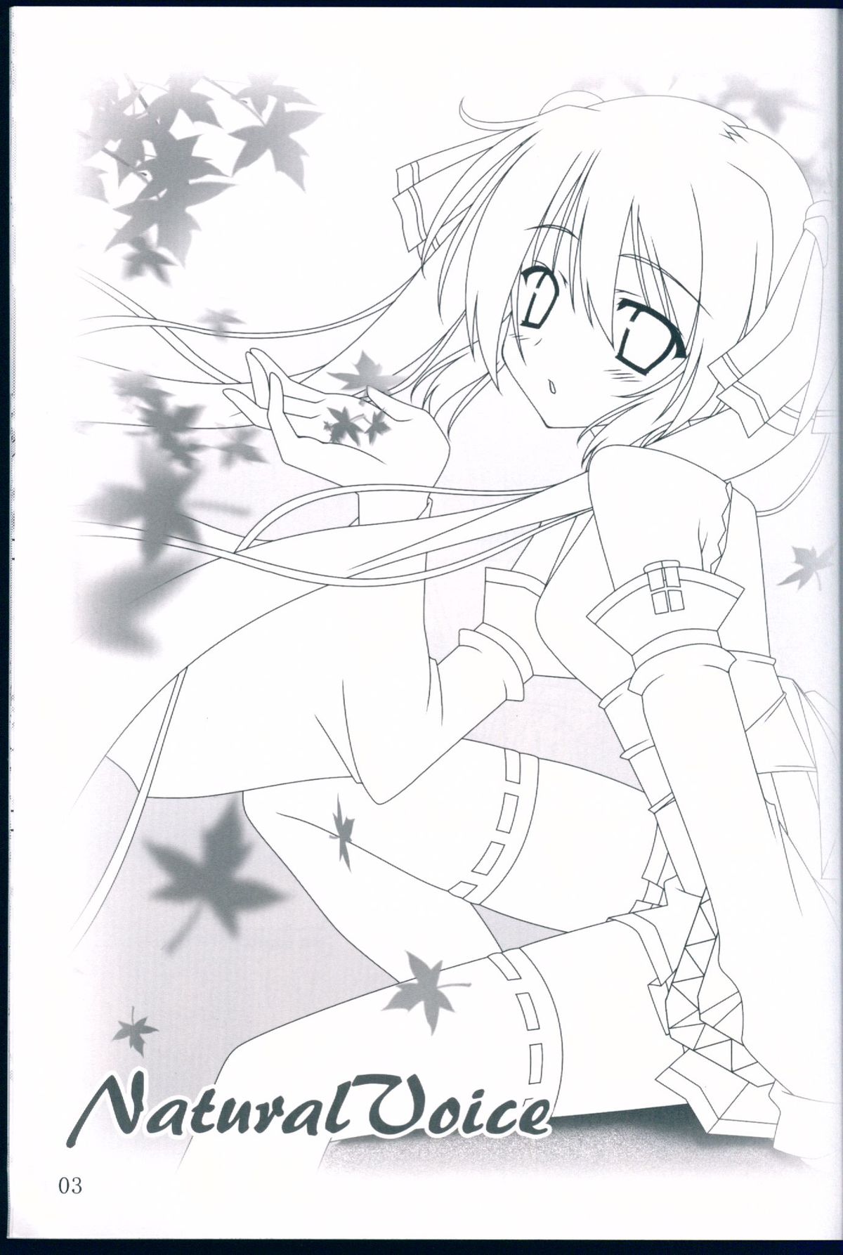 NaturalVoice page 3 full