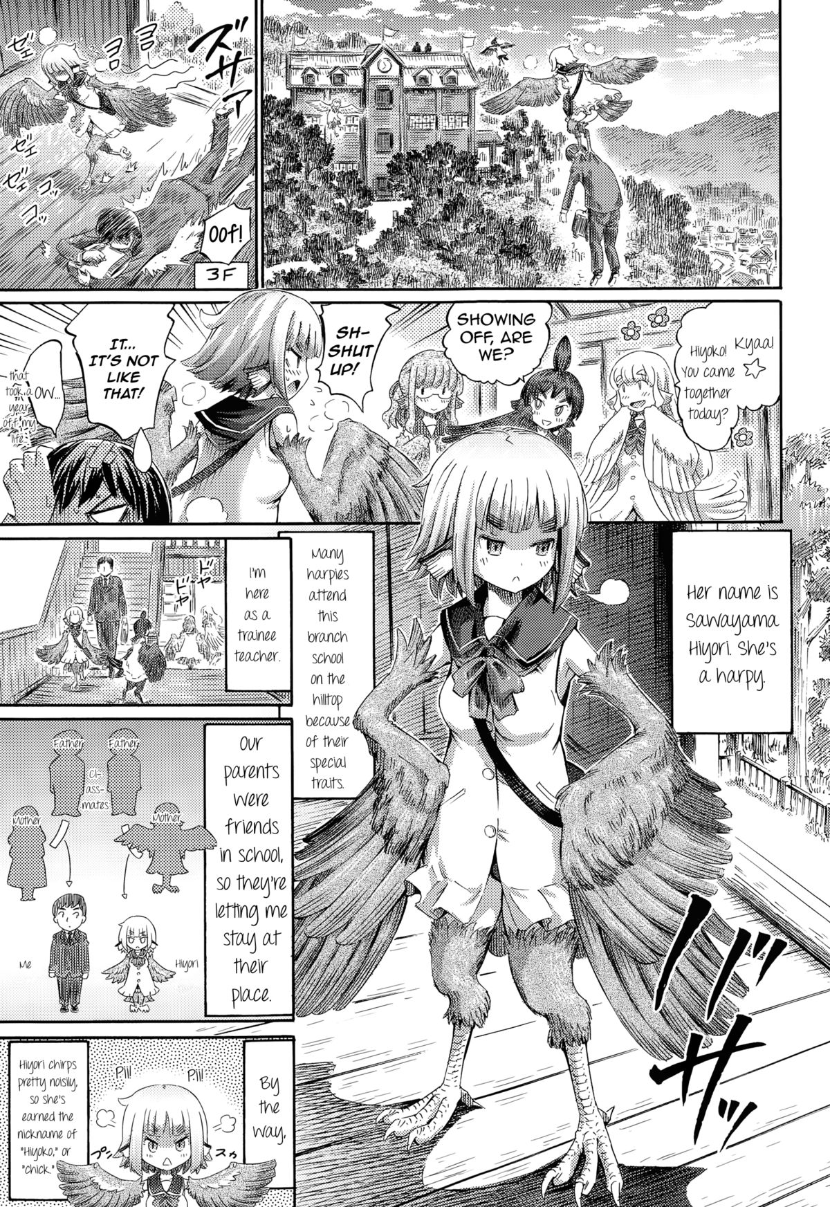 Harpy no Manabiya ~Kashimashi Class~ | Harpy School ~Noisy Class~ page 3 full
