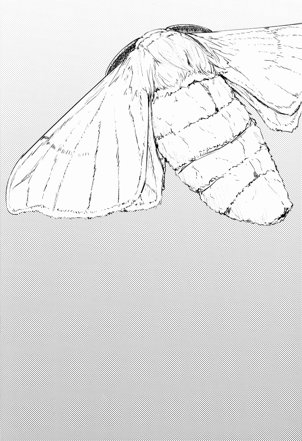 Shiragasane -Tamoto- | Layers of White 2 page 3 full