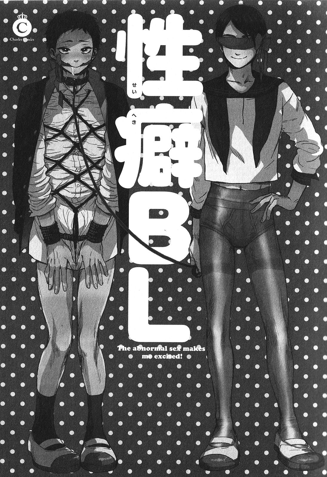 Seiheki BL page 4 full