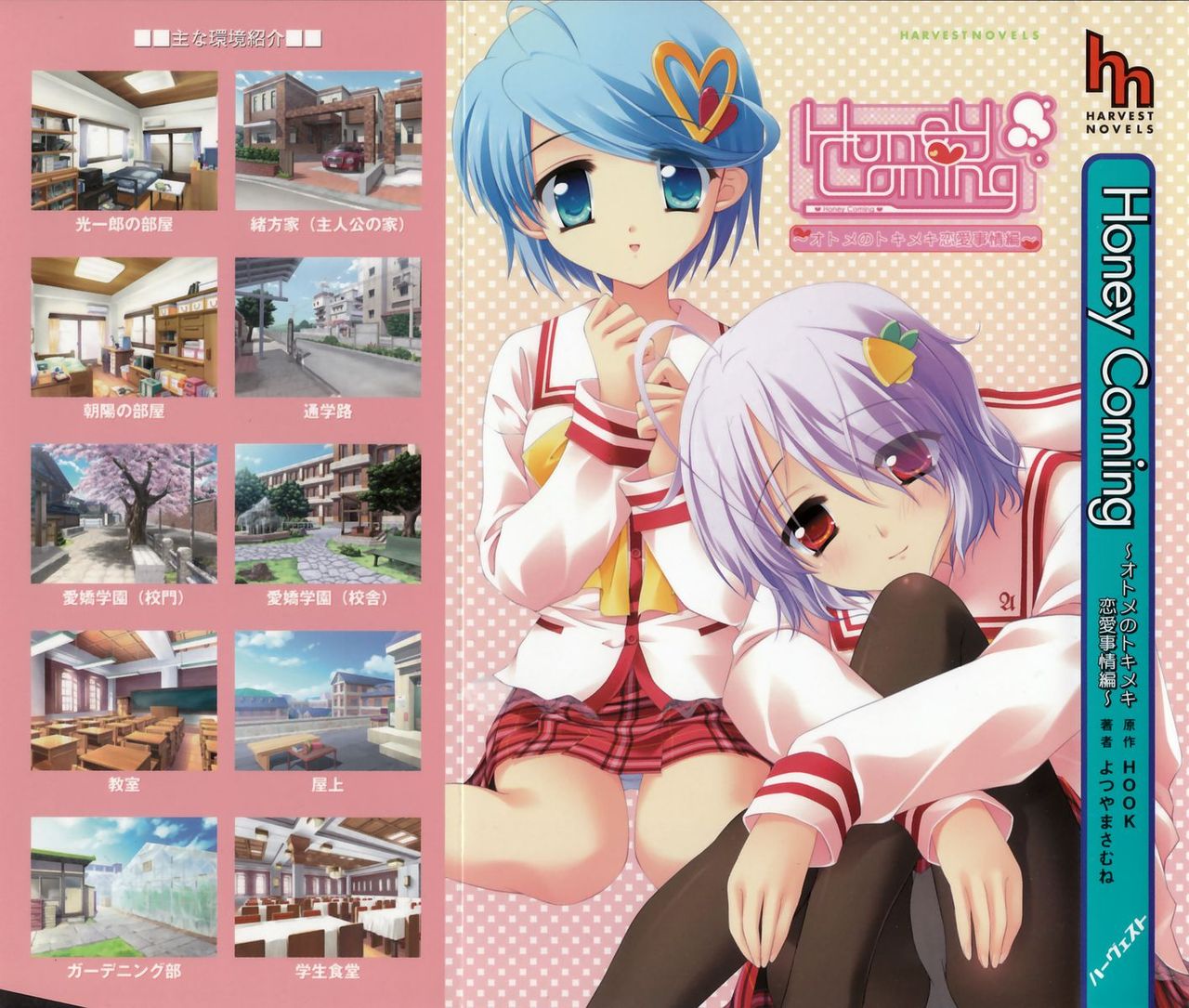 Honey Coming ~Otomo no Tokimeki Renai Jijou Hen~ page 2 full