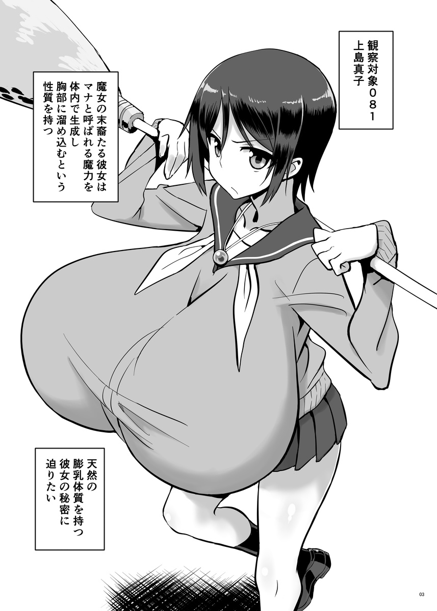 Zemuriya Report page 2 full