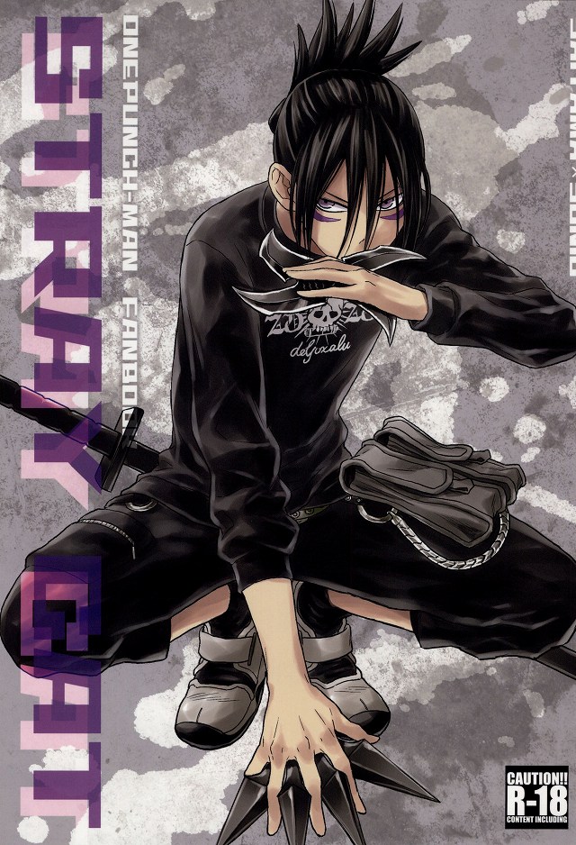 stray cat page 1 full