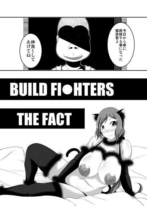 BUILD FIGHTERS THE FACT page 3 full