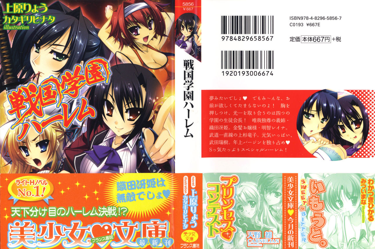 Sengoku Gakuen Harem page 1 full