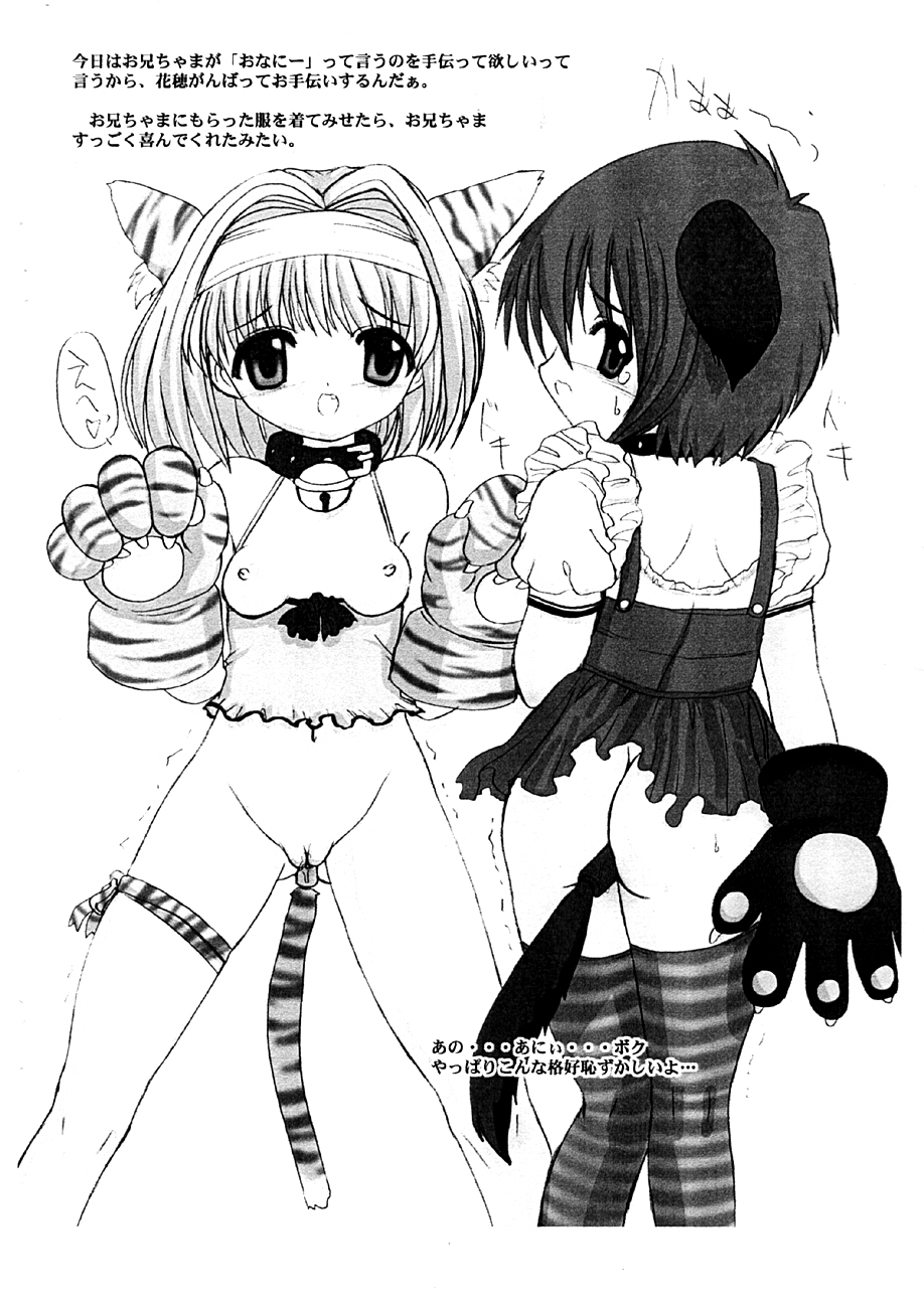 Siscosume page 4 full