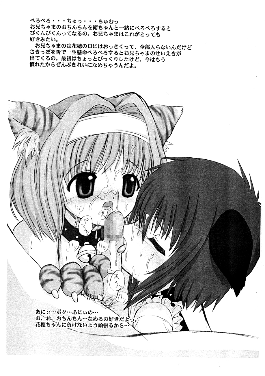 Siscosume page 5 full