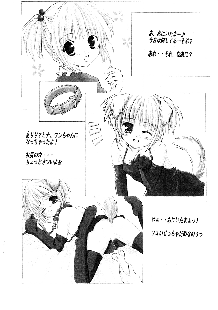 Siscosume page 6 full