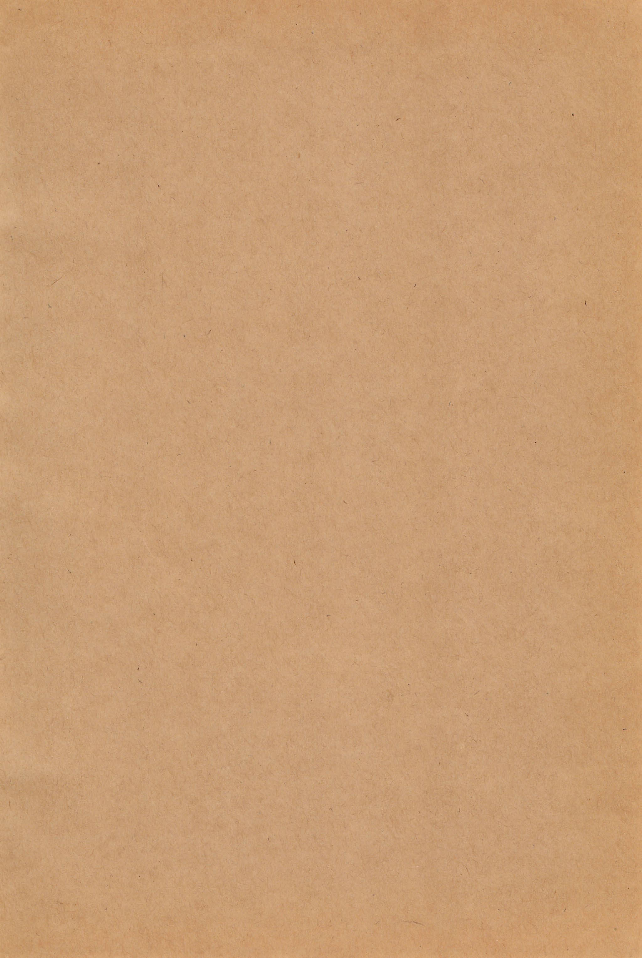 Gokko Syndrome page 4 full