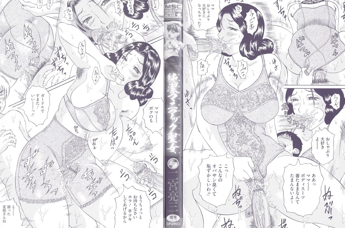 Junketsu Maniac Seijo page 3 full