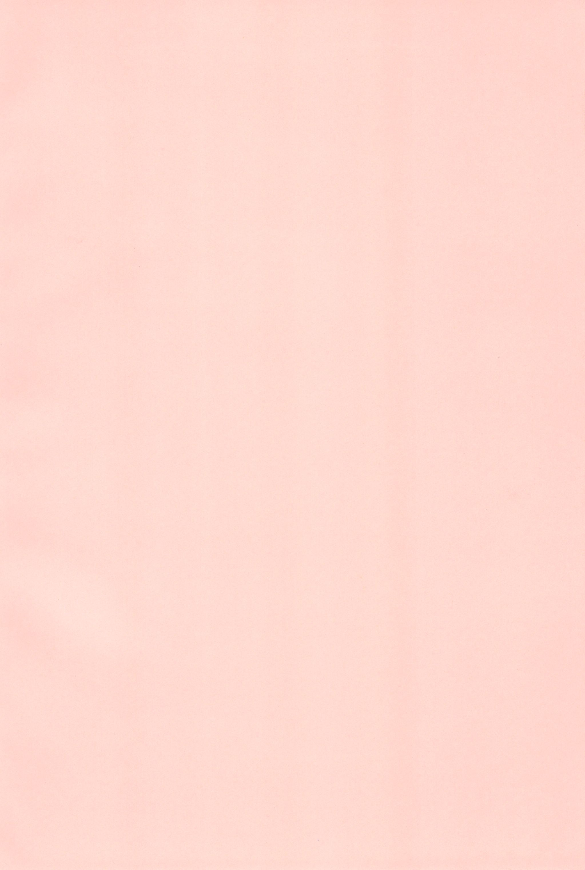 Nekokan Usagikan page 4 full