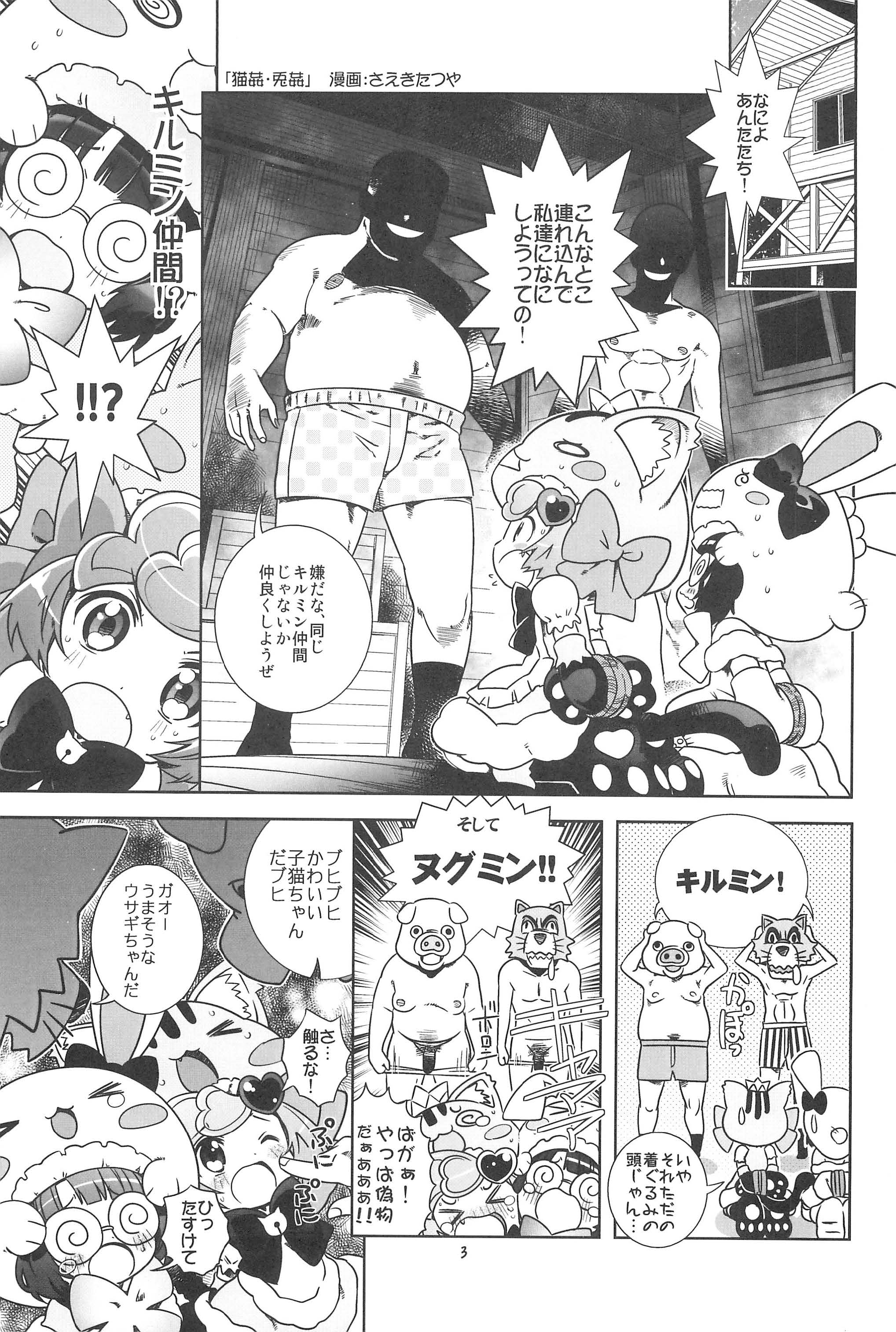 Nekokan Usagikan page 5 full