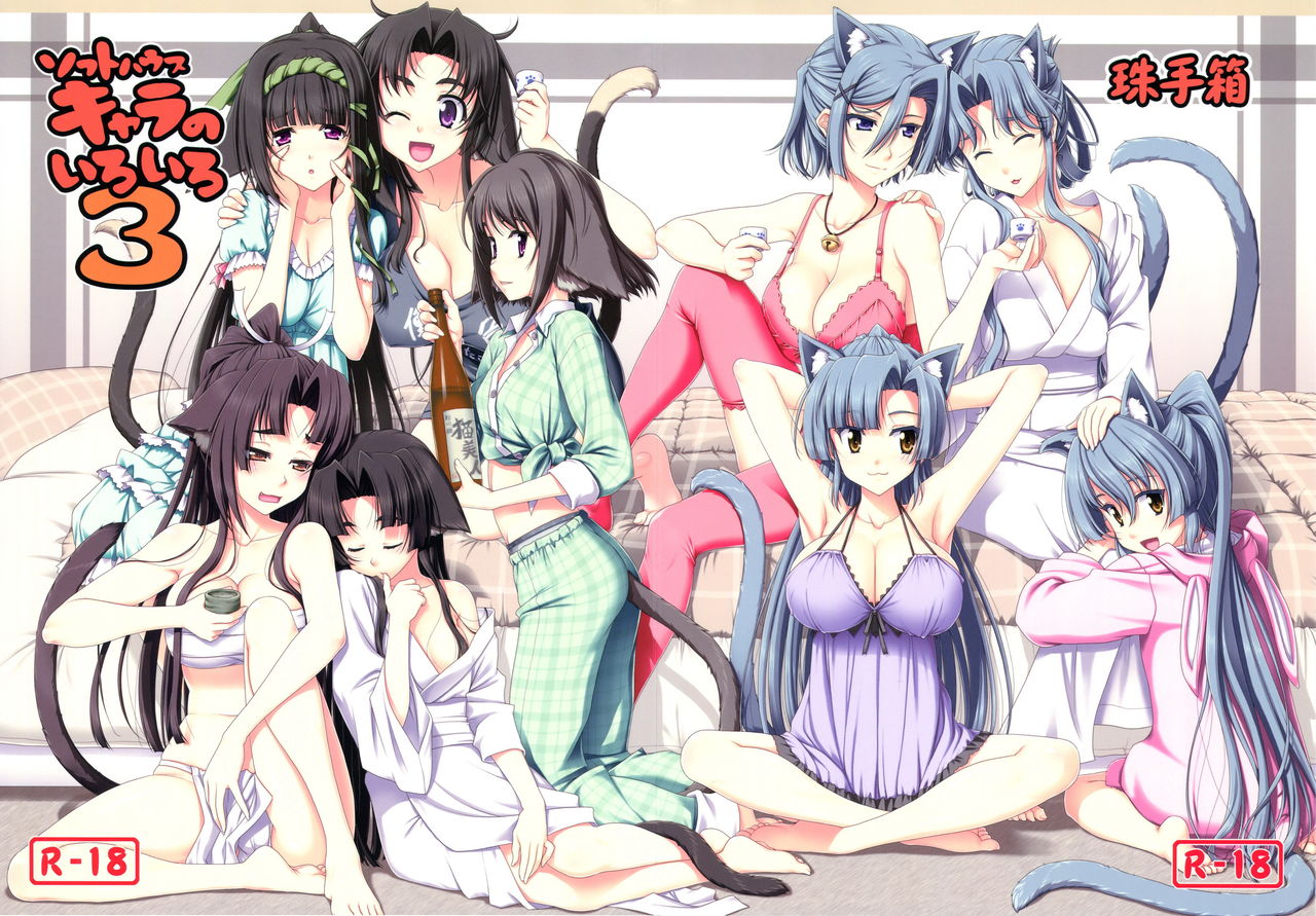 Softhouse Chara no Iroiro 3 page 1 full