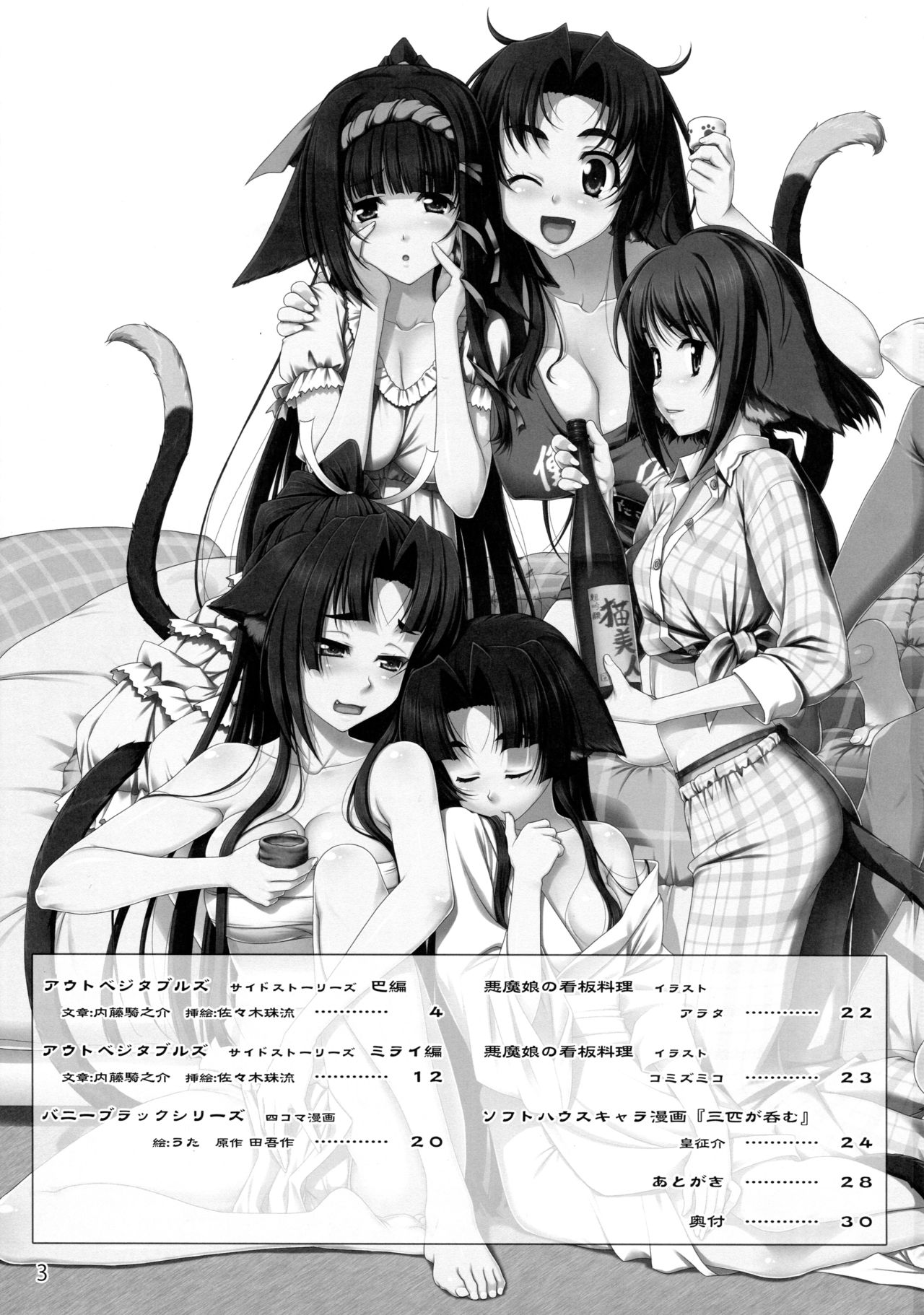 Softhouse Chara no Iroiro 3 page 2 full