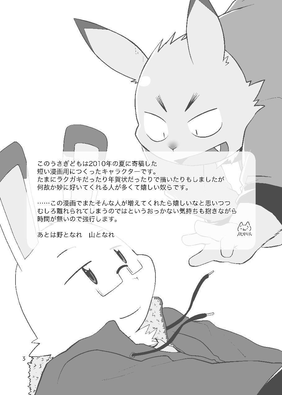 Hajimemashite no Usagi-domo page 3 full