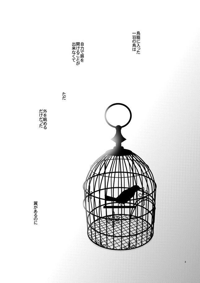 phalaenopsis page 2 full